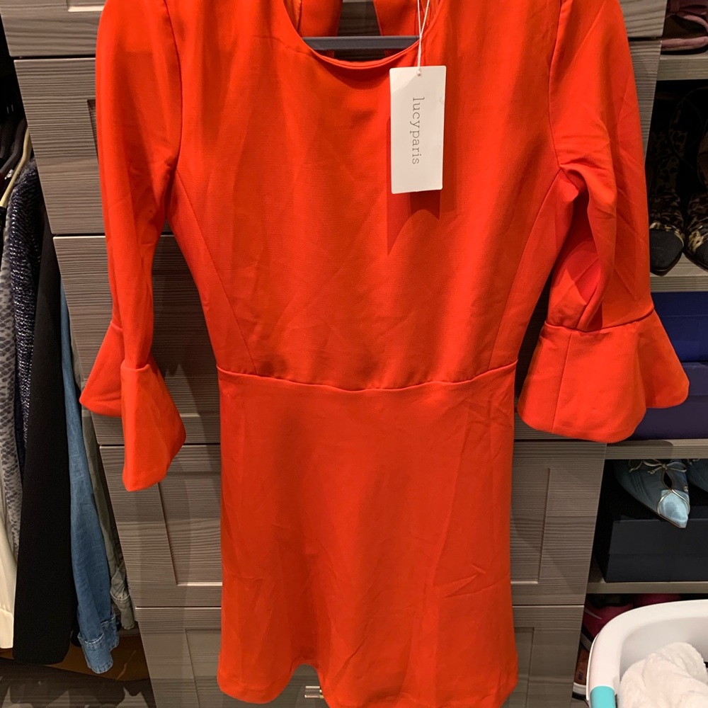 Lucy Paris Open back dress